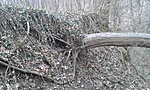 20180325_111910