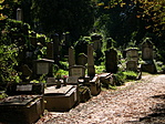 DSCN4293
