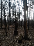 GCGUTI_20180315_154625
