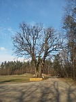 GCGUTI_20180315_151922