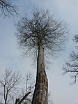 20180303_142337