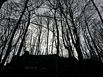 20180325_122655