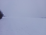 IMG_20180302_153840
