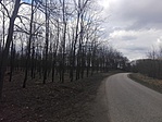 IMG_20180311_152528