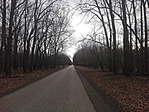 IMG_20180311_153122