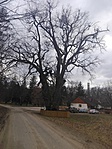 IMG_20180311_154955