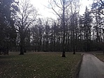 IMG_20180311_161423
