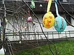IMG_20180330_105333