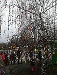 IMG_20180330_105359