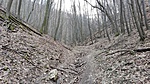 IMG_20180313_120705