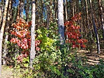 20171009_141104