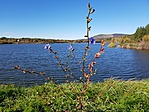 20171009_141843