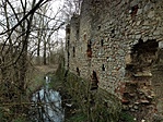 IMG_1299