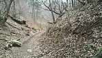 GCANTI_20180326141308.jpg