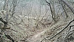 GCANTI_20180326141324.jpg