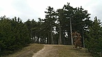 GCNkov_20180326150502.jpg