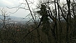 GCorju_20180326154415.jpg