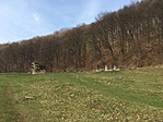IMG_4893