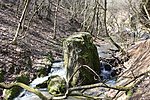2018_04_02_025795