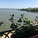 IMG_0201