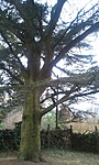 2011-03-19 09.14.23R