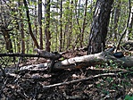 IMG_20180421_162555
