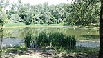 IMG_20170526_135640