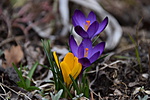 DSC_8310