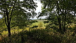 20170910_141719_resize