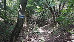 20170807_140811_resize