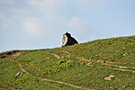 DSC_0568