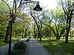 Park