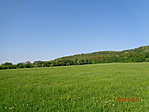 DSC01743