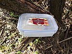 Pincesori séta Bakonygyiróton 003