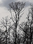 20180417_152846