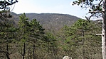 IMG_0266gc