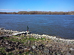 Dunaparton