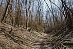 _DSC2508