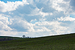_DSC2542
