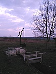 Holdas