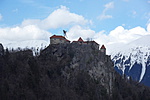 SDC10312