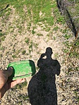 IMG_20180409_144754