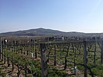 IMG_20180409_145210