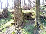 20180408_125402