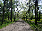 DSCF1876