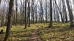 20180414_150319