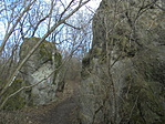 DSC00530