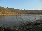 DSC00905