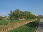 DSC01050