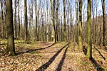 gchvt-DSC03209